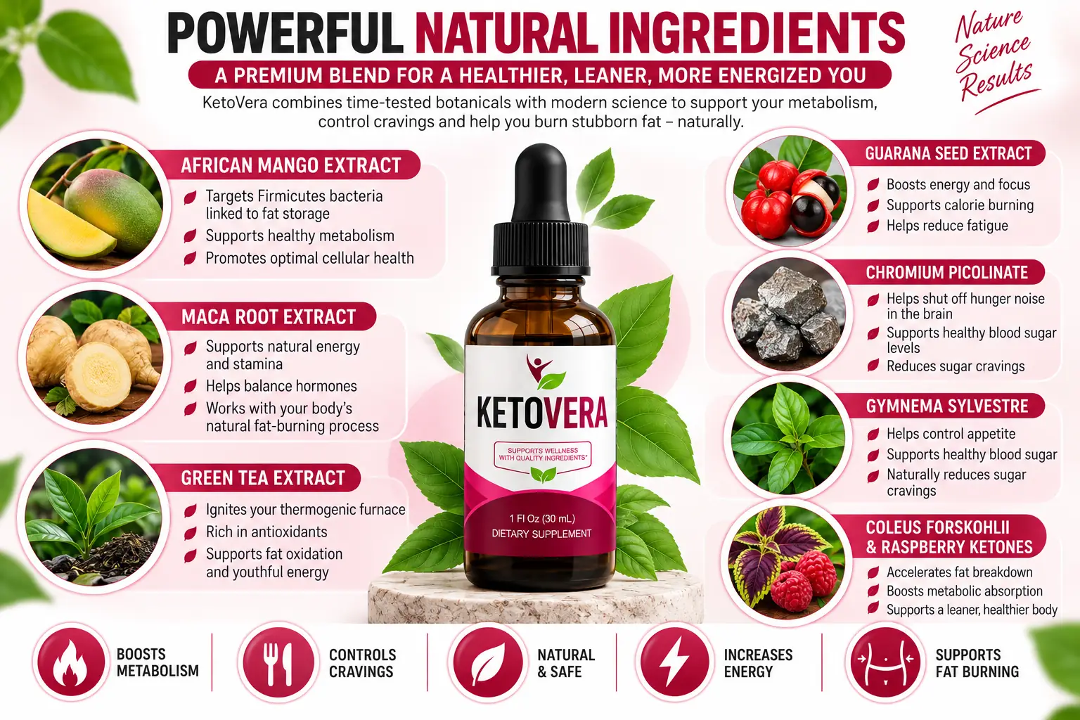 KetoVera powerful natural ingredients — African Mango, Maca Root, Green Tea, Guarana, Chromium Picolinate, Gymnema Sylvestre, Coleus Forskohlii and Raspberry Ketones